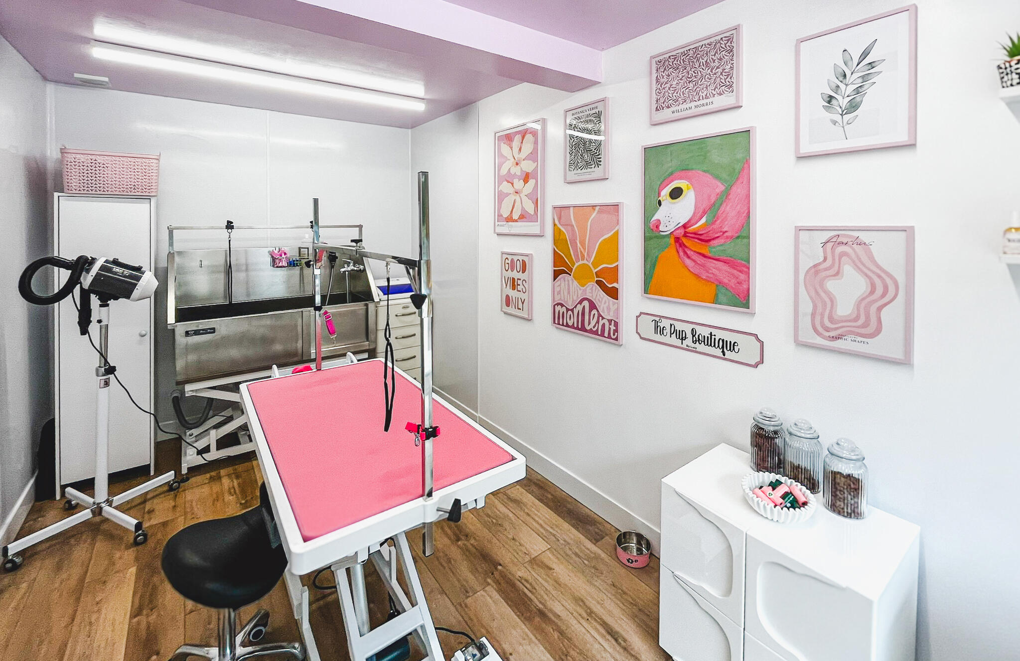 Interior of The Pup Boutique by Lucy on Glasshouse Lane, Kenilworth